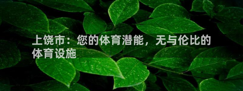 尊龙凯时电竞