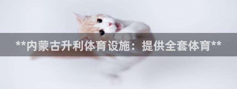 尊龙凯时和九游会哪个平台好一点