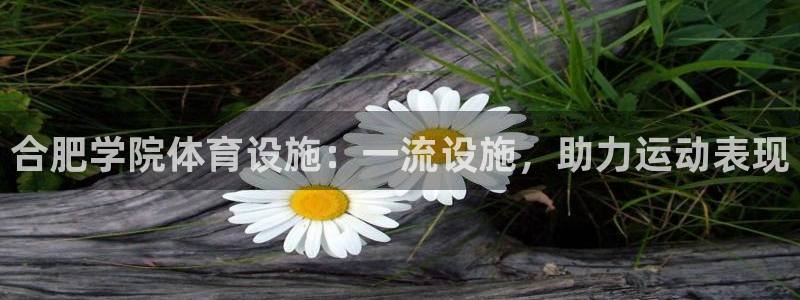 尊龙服饰品牌介绍