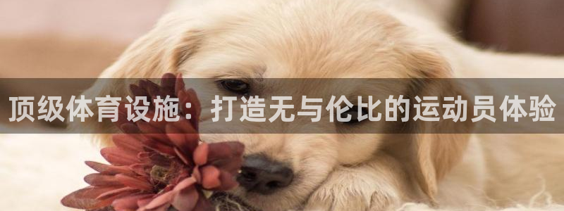尊龙在线登录官网
