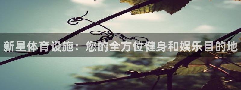 最新凯时官网网址