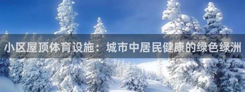 尊龙app登录不了