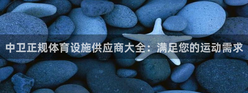 尊龙手机端下载