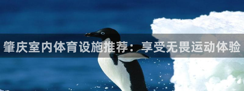 尊龙凯时台子