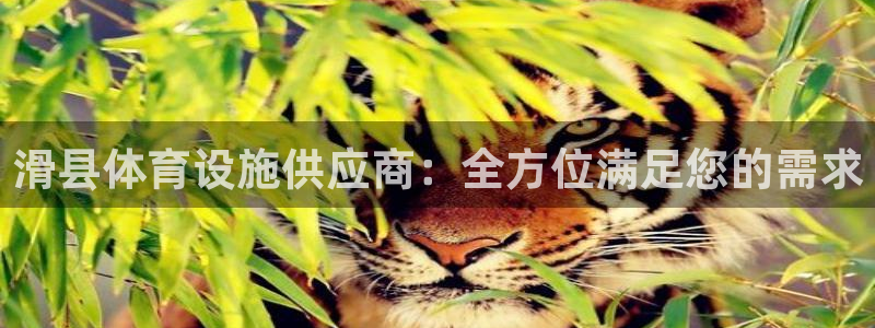 尊龙软件下载