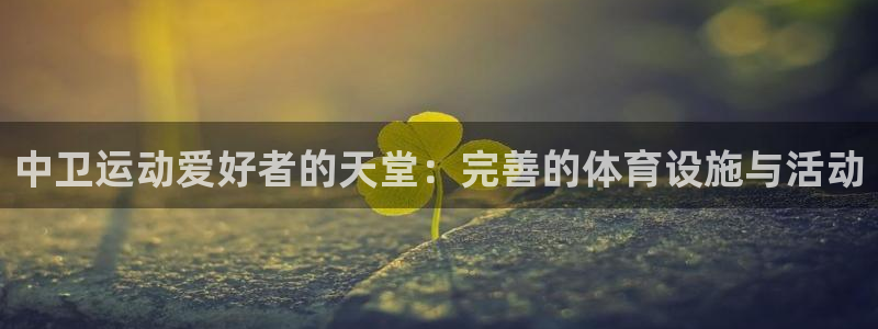 尊龙官网入口