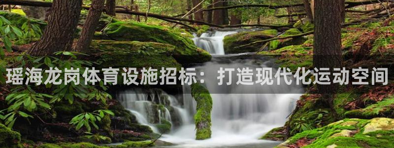尊龙手机端下载