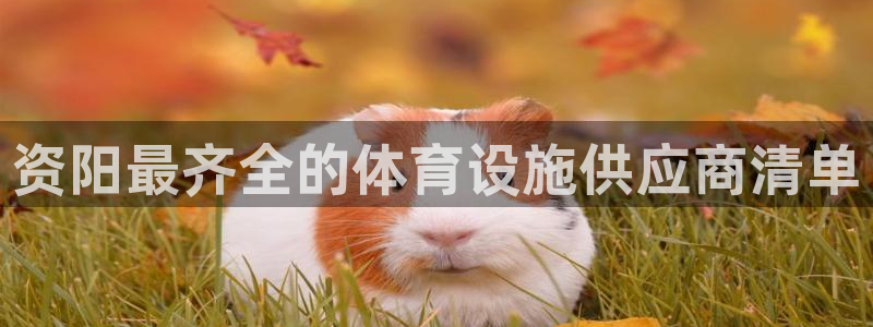 ZL尊龙凯时平台