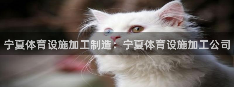 尊龙目前在哪
