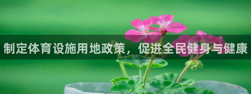 尊龙人生就是博ag旗舰厅