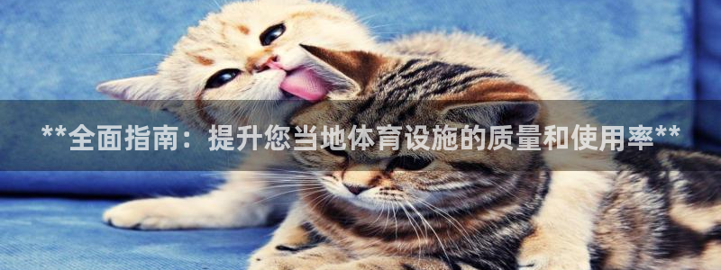 尊龙官网网站