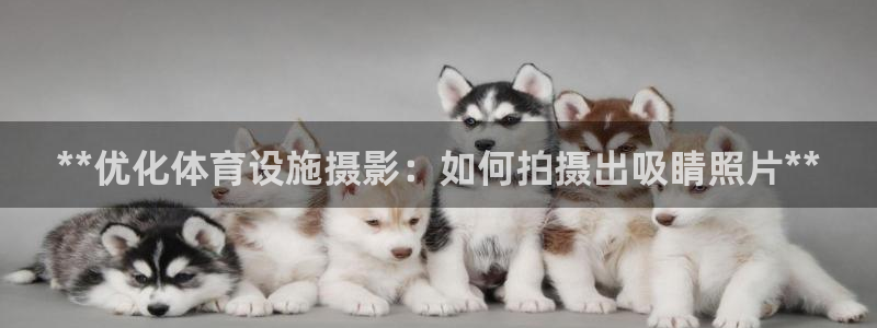 尊龙官方app下载