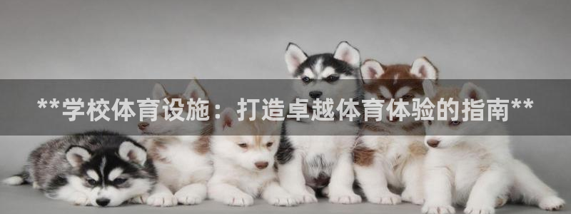 尊龙d88官网去来就送38