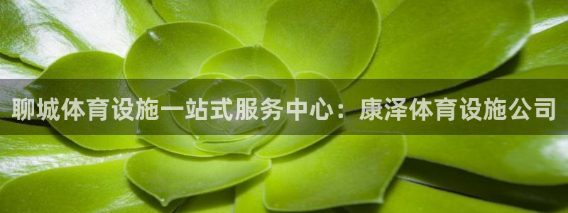 尊龙凯时福米推荐人