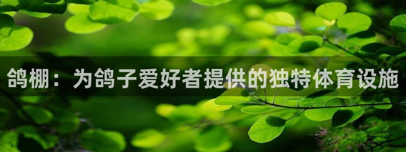 尊龙凯时平台还是万博好