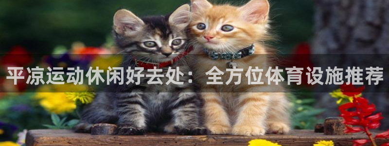 尊龙凯时产品系列