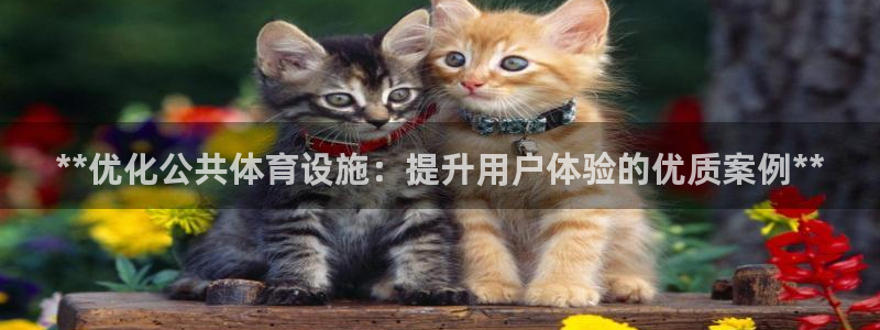 尊龙凯时存款多久到账