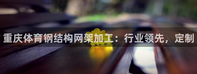尊龙凯时的企业文化