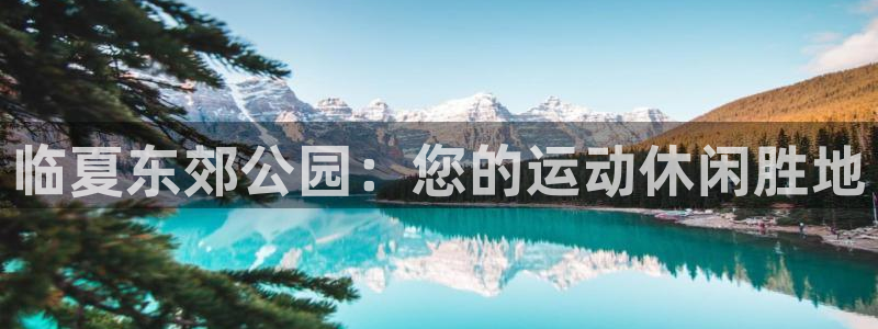 尊龙现金