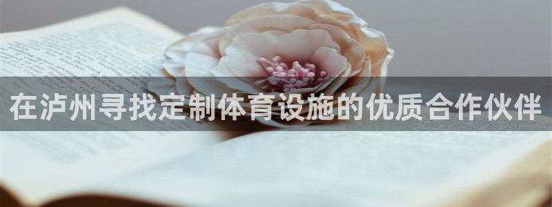 尊龙凯时网