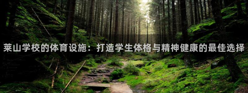 尊龙z6官网ag