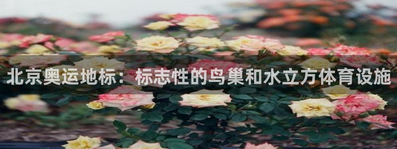 尊龙凯时注册