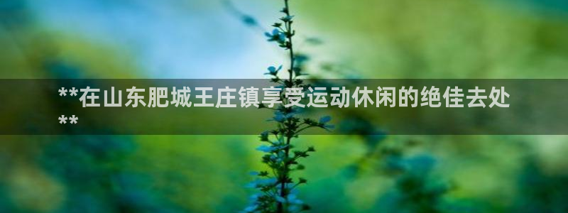 z6尊龙凯时ag旗舰厅