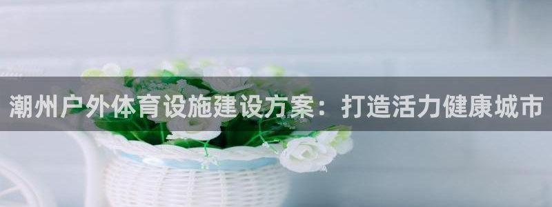 尊龙官网网站