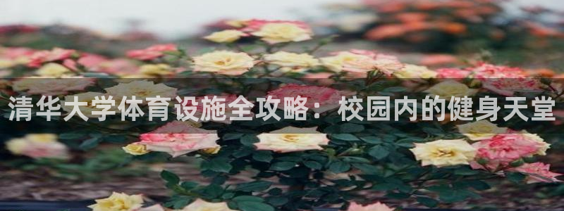 尊龙凯时百家乐手机下载