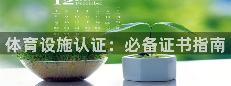 尊龙app怎么样