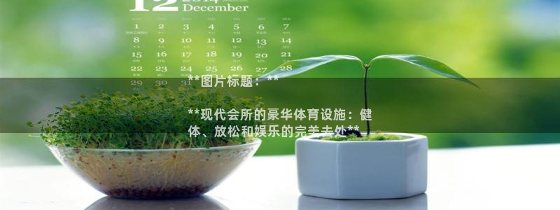 尊龙ag旗舰厅下载