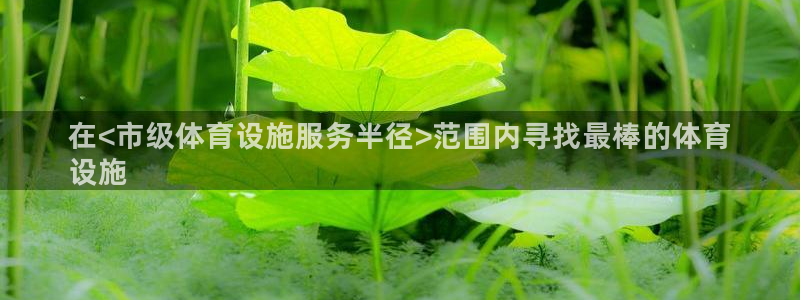 尊龙凯时人生就是博官网登录