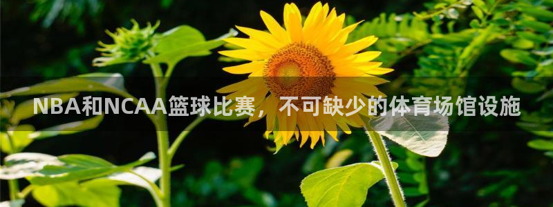 尊龙凯时登陆网址