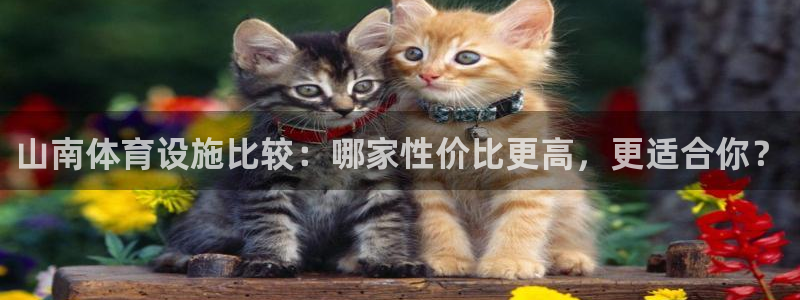 尊龙凯时人生就是搏z6com