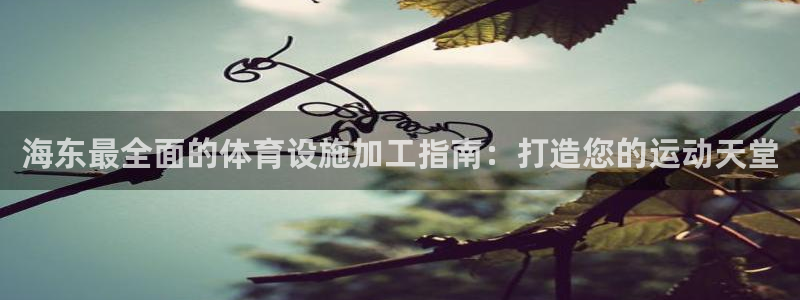 尊龙游戏官网
