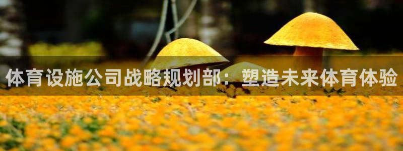 尊龙凯时合法吗?