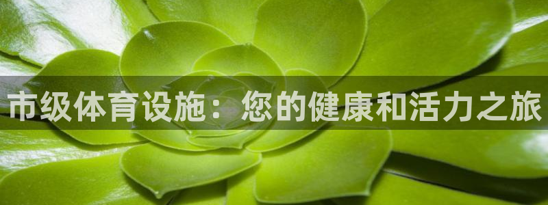 百度一下尊龙