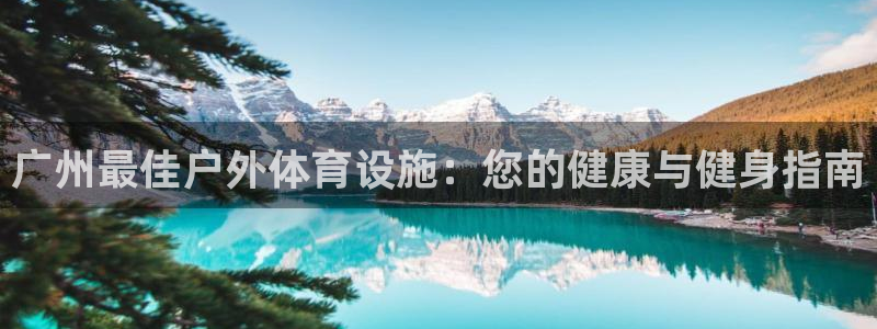 尊龙凯时和九游会哪个平台好一点