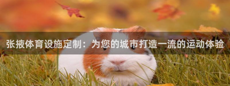 尊龙服饰有限公司地址