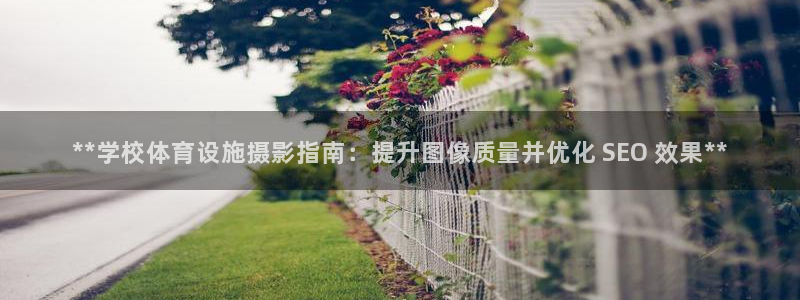 尊龙凯时请求参数不符合