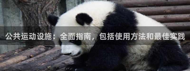 尊龙人生就是博AG旗舰厅