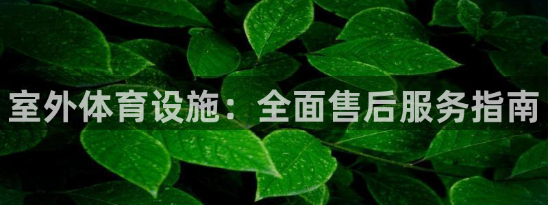 尊龙公司