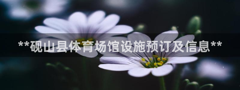 kb88凯时唯一官网注册