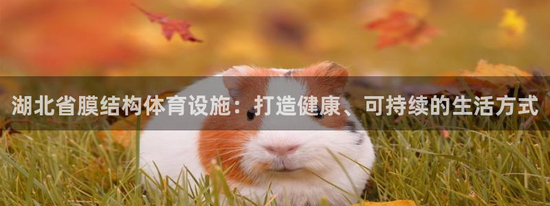 凯时国际app首页登录入口