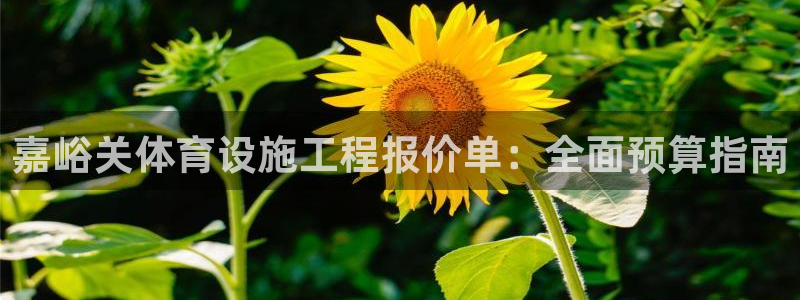 尊龙凯时处理未到账