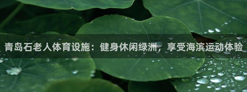 尊龙凯时法拉币