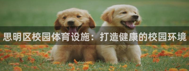 凯时平台官网RA来就送38