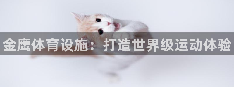 尊龙凯时人生就是搏 品牌专区