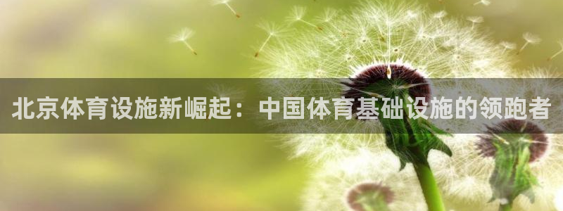 尊龙凯时是大平台吗