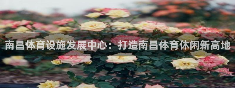 尊龙贴吧